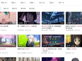副业技巧:看动漫就能赚钱的项目,月入1W+副业思路