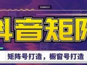 抖音副业《抖音带货矩阵项目》视频教程