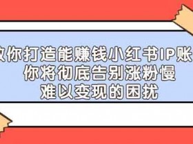 自媒体《教你打造能赚钱小红书IP账号》视频教程
