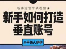 短视频《新手如何打造垂直账号》视频教程