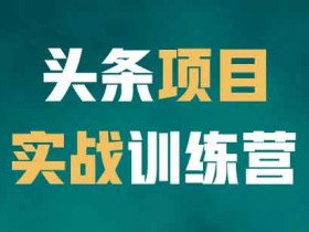 自媒体《头条项目训练营第二期》视频教程
