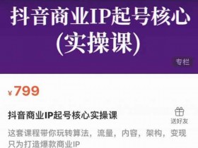 短视频《抖音商业IP起号核心实操课》视频教程