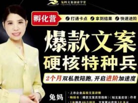 自媒体《爆款文案硬核特种兵孵化营》视频教程