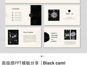 自媒体副业:小红书操作ppt模板笔记,月入10000+