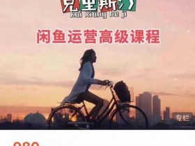 电商副业《闲鱼运营高级课程》视频教程