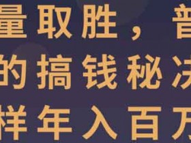 副业运营《靠量取胜,普通人的搞钱秘决,照样年入百万》视频教程