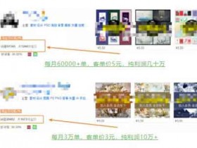 虚拟电商《虚拟项目拆解,玩转短视频素材,单店月入几万》视频教程