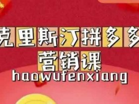 电商副业《拼多多运营课,适合小白初涉平台》视频教程