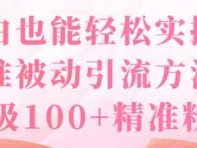 副业引流《小白也能轻松实操的精准被动引流方法,日吸100+精准粉》视频教程