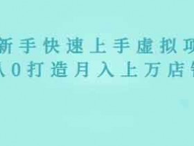 虚拟副业《2022年虚拟项目实战指南,新手从0打造月入上万店铺》视频教程