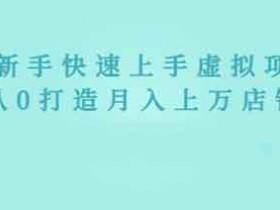 虚拟副业《2022年虚拟项目实战指南，新手从0打造月入上万店铺》视频教程