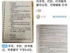 闲鱼小副业:只要会写字就能操作的闲鱼小商机