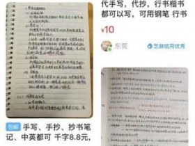 闲鱼小副业：只要会写字就能操作的闲鱼小商机