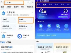 利用信息差赚钱,支付宝芝麻粒项目思路