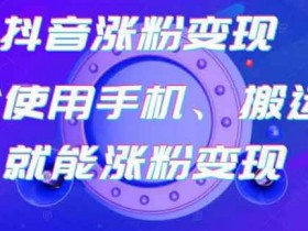 抖音副业《抖音涨粉变现号,起号卖号3天千粉》视频教程