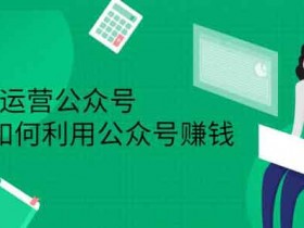 自媒体《从0-1运营公众号 零基础小白也能上手》视频教程