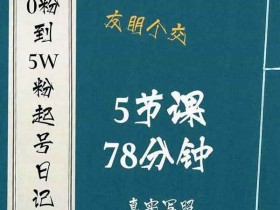 抖音副业《0粉到5万粉起号日记,大志参谋起号经历及变现逻辑》视频教程