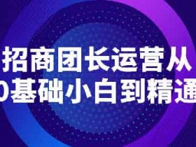 副业提升《招商团长运营宝典，从0基础小白到精通》视频教程