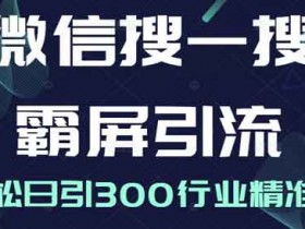 自媒体《微信搜一搜霸屏引流课》视频教程