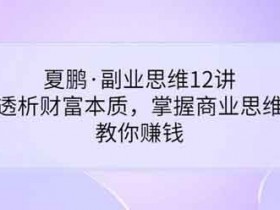 副业提升《副业思维12讲 透析财富本质 掌握商业思维》视频教程