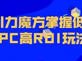 电商运营《引力魔方系统课,让你掌握低PPC高ROI玩法》视频教程