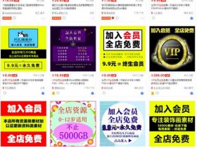 副业课程《淘宝虚拟整店搬运采集玩法,零基础教学》图文教程