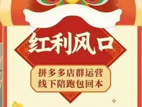 电商副业《拼多多无货源店群玩法:从0~1实战保姆教程》视频教程