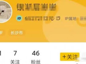 零基础小白副业:拍宠物照+闲鱼币回收项目