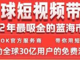 短视频《TikTok海外短视频带货训练营》视频教程