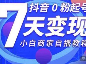 短视频《抖音0粉起号7天变现 小白商家从0到1直播》视频教程