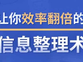 自我提升《超级信息整理术:帮你从海量信息中省时间》视频教程