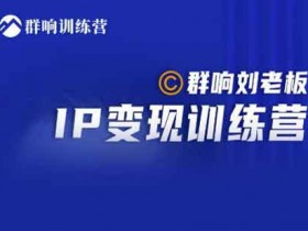 自媒体《IP变现训练营第6期:教你搞流量新姿势》视频教程