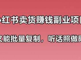 小红书卖货副业攻略：简单可复制，可批量操作