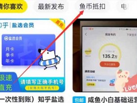 闲鱼副业:人人可做的闲鱼做倒卖副业,实测可日入100+