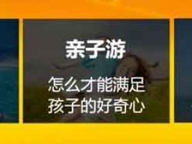 旅游规划副业:小众类目闷声发财月入过万的副业