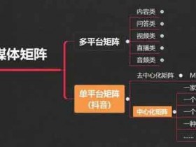 爆粉引流:疯狂引流变现,抖音矩阵号玩法揭秘