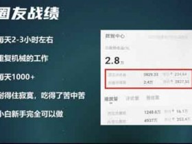 视频副业:中视频日赚1000+方法揭秘,会抄作业就行!