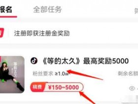 抖音音乐搬砖项目,轻松日入500+,人人均可操作