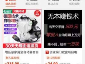 电商副业:不用引流,轻容日入300+玩法