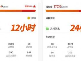一文搞懂DOU+投放,掌握低成本买量技巧!