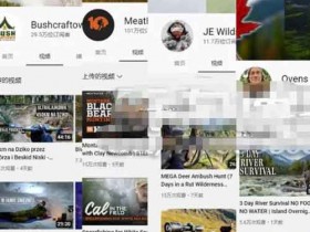 短视频知识:适合零基础新手的海外视频搬运副业