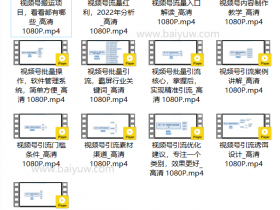 短视频《视频号批量引流,霸屏行业关键词》基础班视频教程