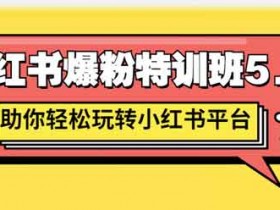 自媒体《小红书爆粉特训班5.0 助你轻松玩转小红书》视频教程
