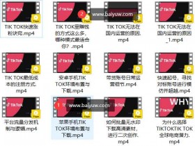 短视频《2022Tiktok从小白到精英实操特训营,带你掌握Tiktok账号运》营视频教程