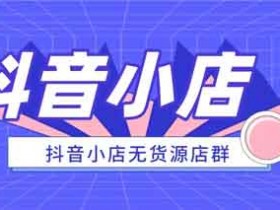 抖音电商《抖店无货源店群精细化运营系列课》视频教程