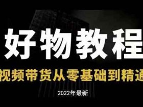 短视频带货《好物分享专业实操课 短视频带货从零基础到精通》视频教程