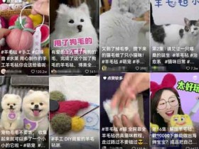 羊毛毡项目玩法思路,小白也能上手的蓝海副业
