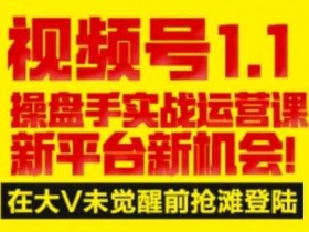 短视频《视频号1.1操盘手实战运营课新平台新机会》视频教程