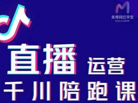 抖音直播《抖音直播运营千川系统课》视频教程