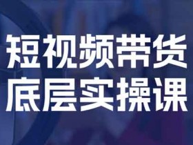 短视频副业《短视频带货底层实操课》视频教程